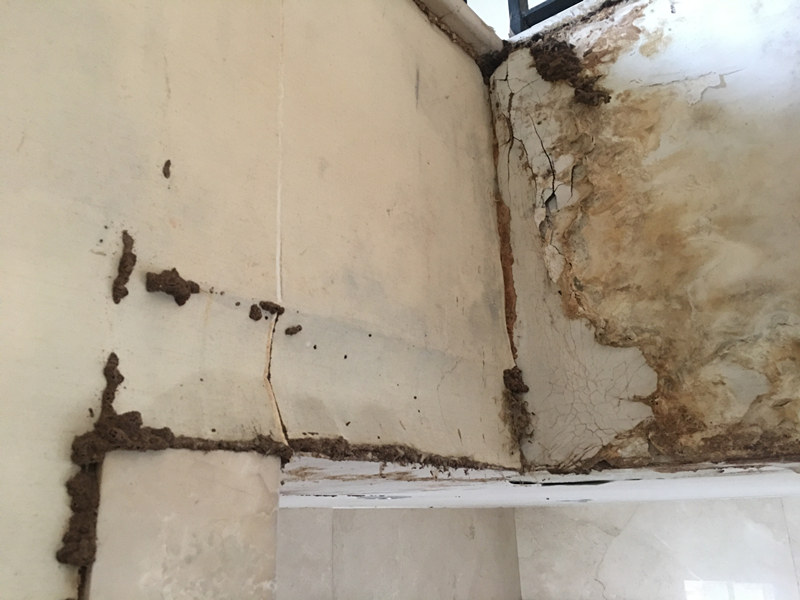 ��ɽ�������Ϸ���