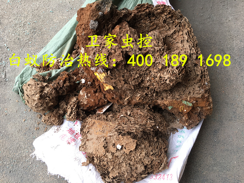 ���������ɱ�����Ϲ�˾