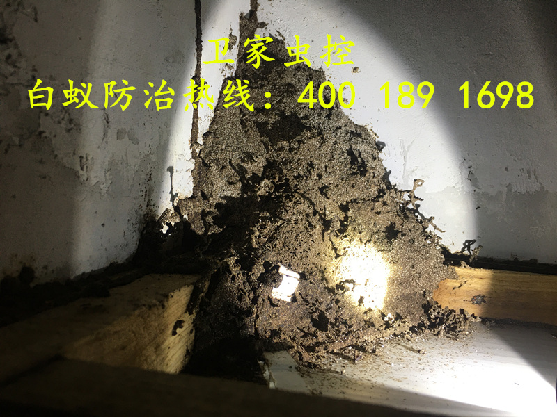 ˳����̳��ɱ�����Ϲ�˾