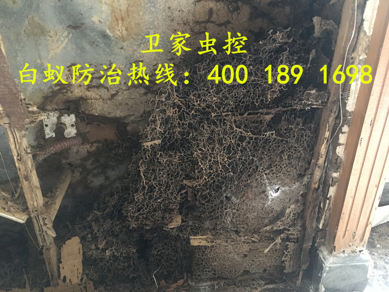 ˳�³´���ɱ�����Ϲ�˾